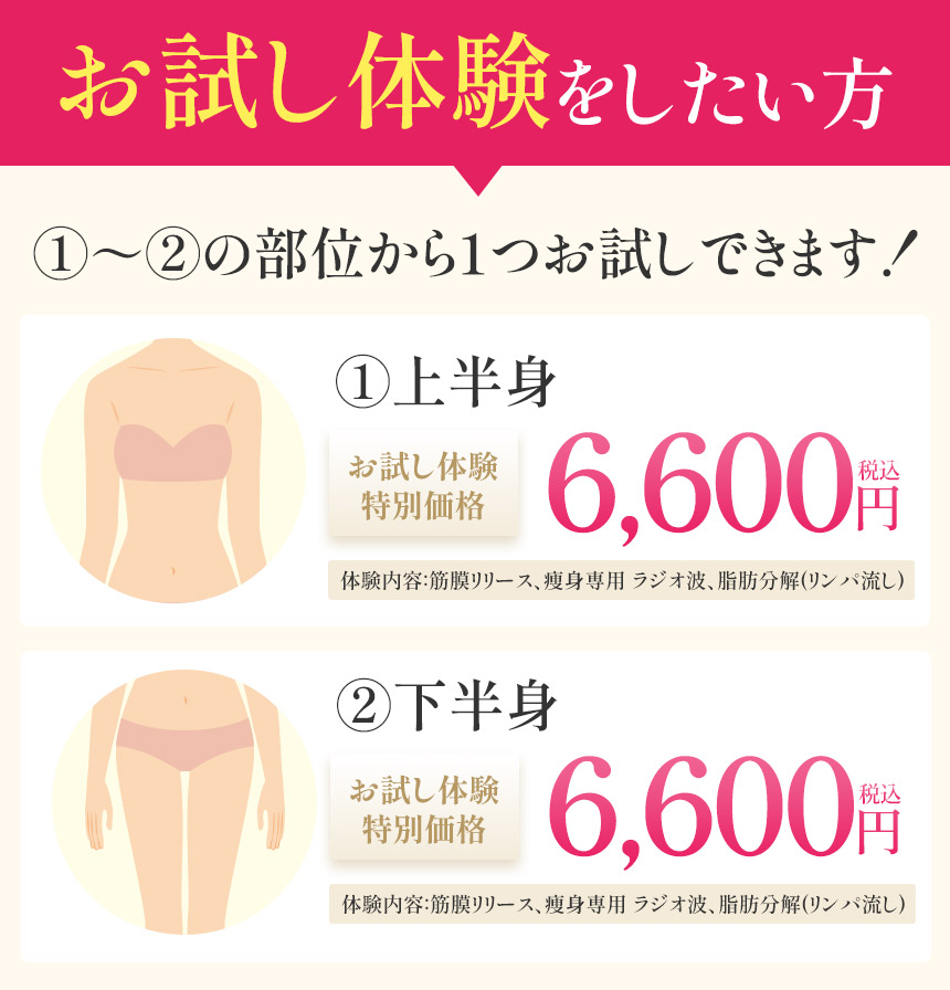 瘦身ダイエットお試し